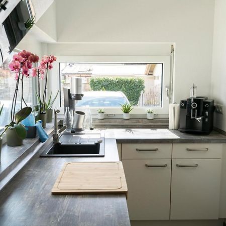 Villa Preisendanz リングスハイム エクステリア 写真