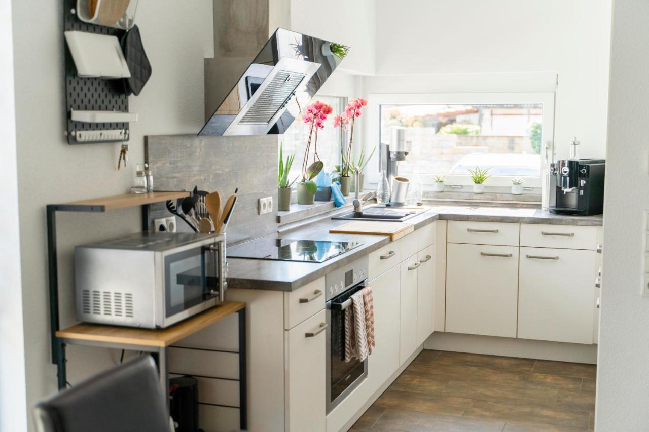 Villa Preisendanz リングスハイム エクステリア 写真