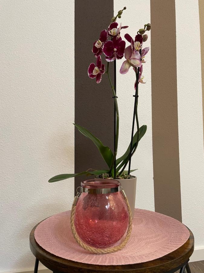 Villa Preisendanz リングスハイム エクステリア 写真